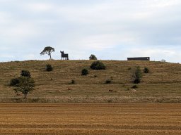 Blick aus dem Fenster während der Fahrt zur Unterkunft in Hammenhög
