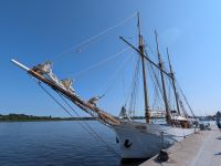 tmb 2025 08 09 06 Rostock Hanse Sail 01