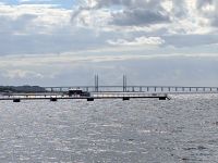 tmb 2025 08 10 33 ribersborgsstrand 6