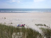 tmb 2025 08 12 04 Sandhammaren 3