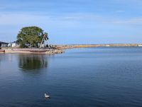 tmb 2025 08 12 15 Simrishamn 05